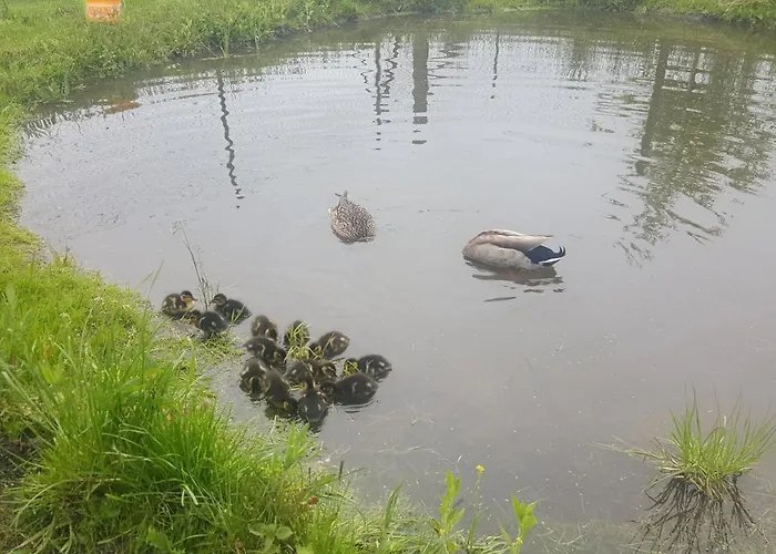 Auf Dem Bauernhof Apartament *